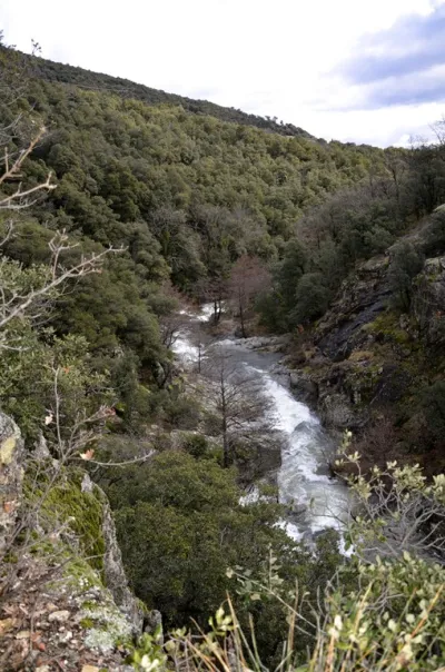 Vue sur début de la section de rapides côtés IV-V sous l'Infran
